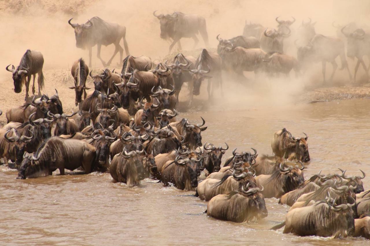 Gnu Mara River Camp Serengeti Bagian luar foto
