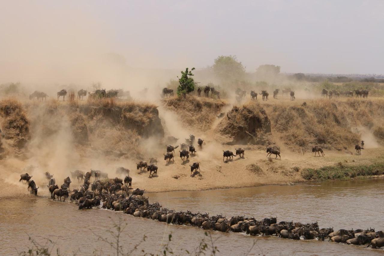 Gnu Mara River Camp Serengeti Bagian luar foto