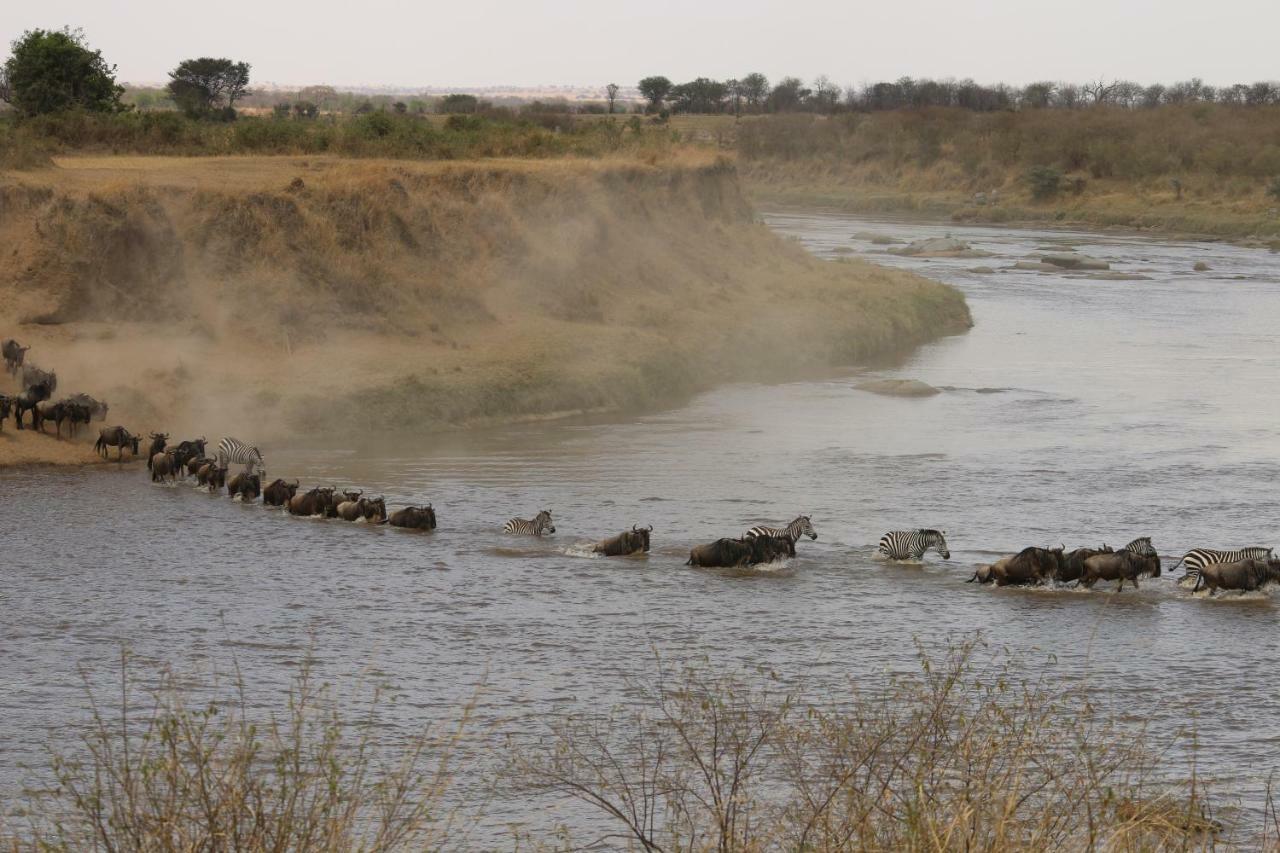 Gnu Mara River Camp Serengeti Bagian luar foto
